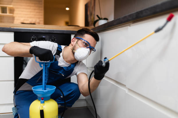 Best Termite Control Services  in Middleport, OH