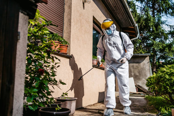 Best Pest Control Treatment  in Middleport, OH