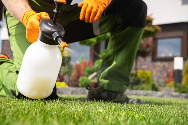 Best Insect Control  in Middleport, OH