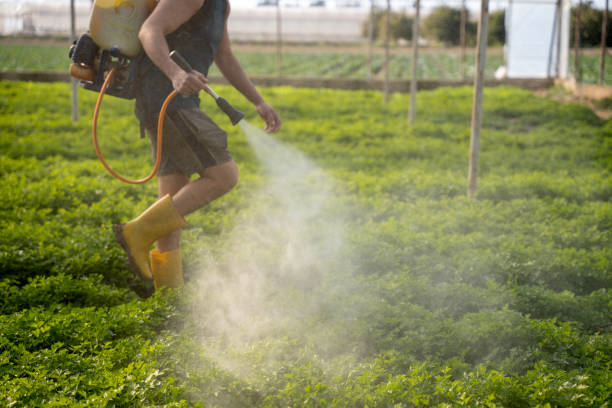 Best Best Pest Control Companies  in Middleport, OH
