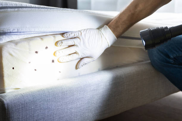 Best Pest Control Near Me  in Middleport, OH