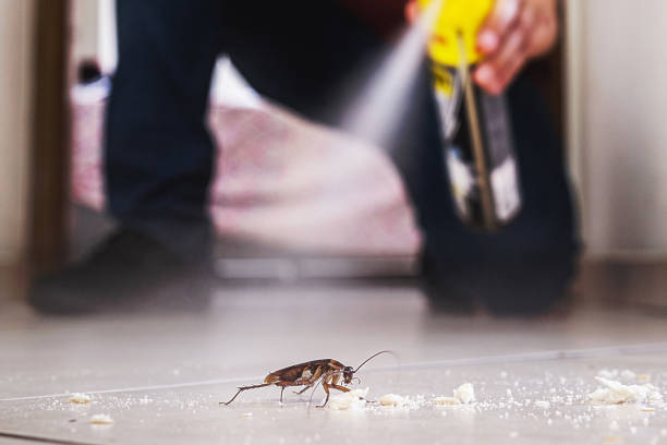 Best Pest Inspection Near Me  in Middleport, OH