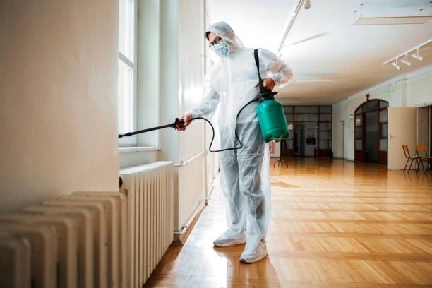 Best Cockroach Control Services  in Middleport, OH